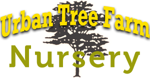 Urban Tree Farm Nursery