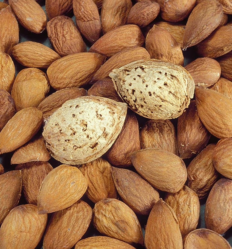 Fruit-Almond-All-In-One-a Fruit Almond All In One - Image 1