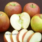 Fruit Apple Braeburn