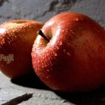 Fruit Apple Fuji ESPALIER 2 TIER