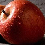 Fruit Apple Fuji ESPALIER 3 TIER