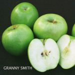 Fruit Apple Granny Smith