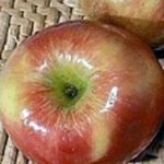 Fruit Apple Honeycrisp