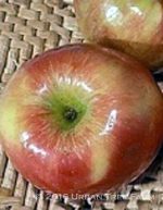 Fruit Apple Honeycrisp