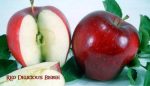 Fruit Apple Red Delicious