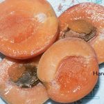 Fruit Apricot Harcot