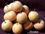Fruit Asian Pear Shinko - Image 4