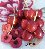 Fruit Cherry Lapins - Image 4