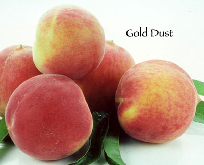 Fruit Peach Gold Dust a