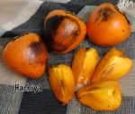 Fruit Persimmon Hachiya - Image 4