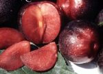 Fruit Plum Burgundy - Image 2