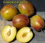 Fruit Pluot Flavor Grenade - Image 3