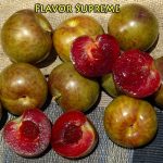 Fruit Pluot Flavor Supreme