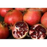 Fruit Pomegranate Wonderful STD