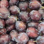 Fruit Prune Early Italian