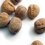 Fruit Walnut Hartley